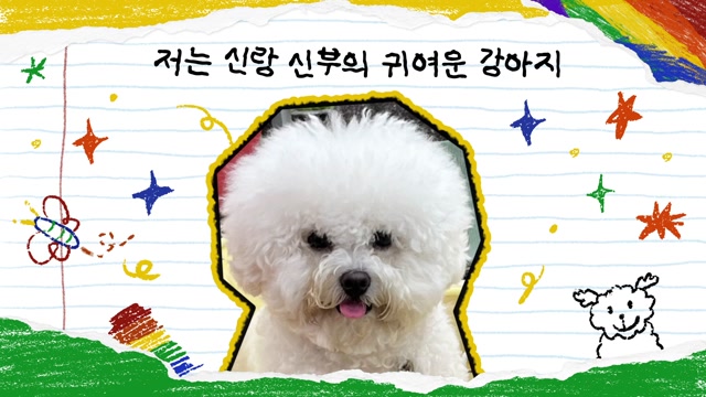 첫 인사 사용 예시