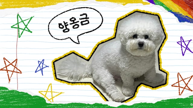 이름 소개 사용 예시