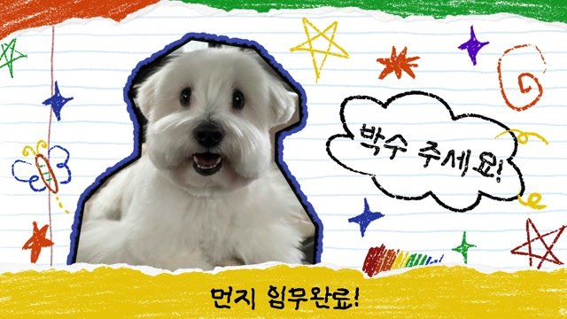 마지막 박수 사용 예시