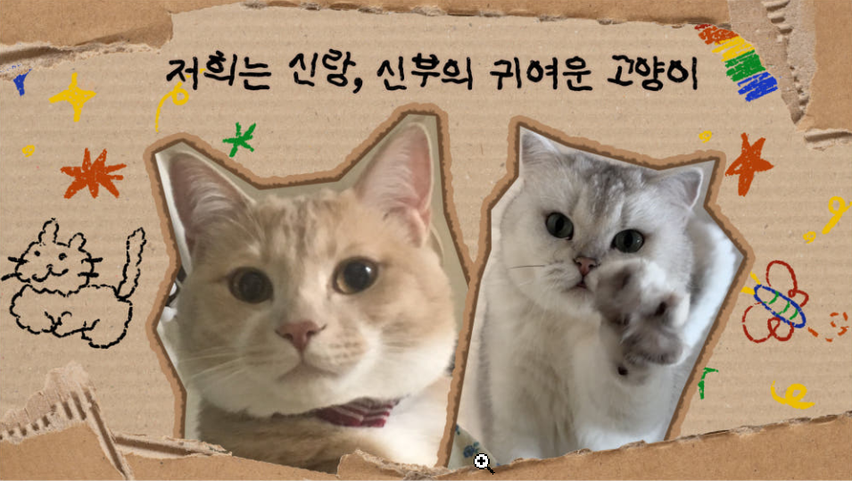 박스 타입 보기 이미지